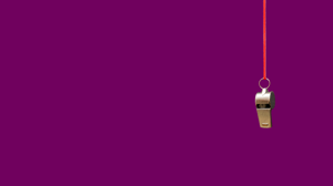 P2- Website Slider-2